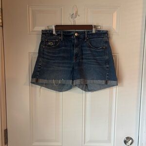 American Eagle Outfitters Blue Jean Shorts